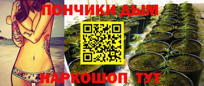 PSILOCYBIN Бугуруслан